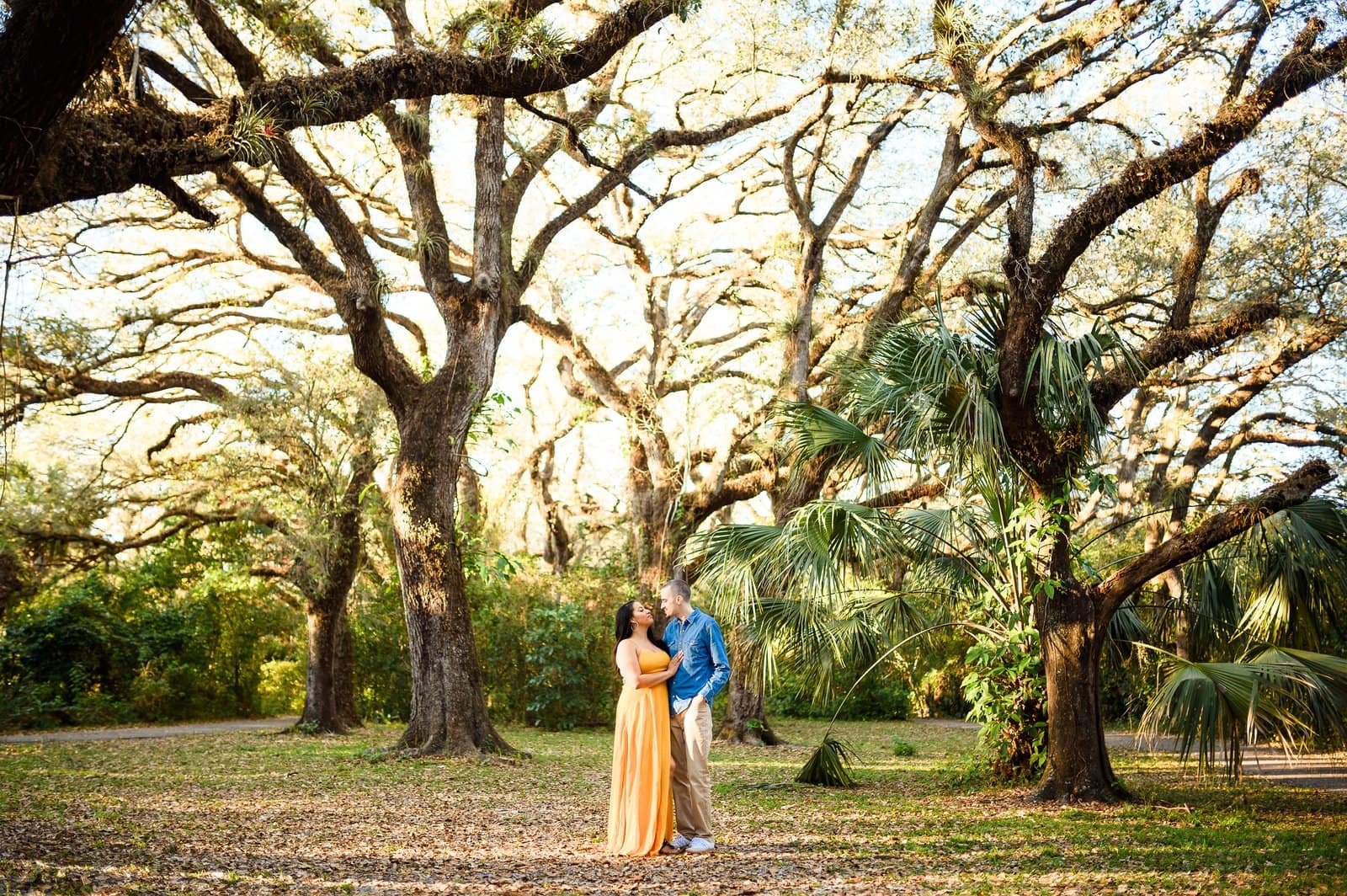 Engagement gallery cover — Tree Tops Park by Bells & Whistles Photography